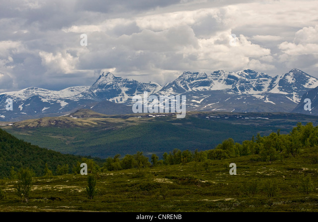 landscape in the Dovrefjell Sunndalsfjella National Park, Norway ...